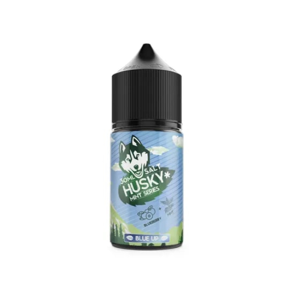 Жидкость Husky salt Mint series Blue Up (Голубика мята) (30 мл, 20 мг/мл) в Магадане