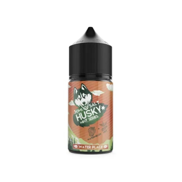 Жидкость Husky salt Mint series Water Place (Арбуз холодок) (30 мл, 20 мг/мл) в Магадане